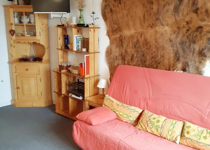 Confortable Pied Des Pistes, 4 Personnes, Vue Montagne - Fr-1-516-103 Апартаменты