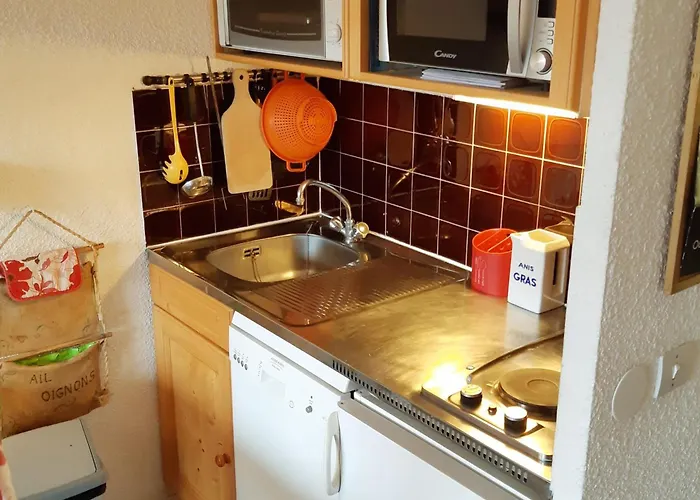 Apartament Confortable Pied Des Pistes, 4 Personnes, Vue Montagne - Fr-1-516-103 Les Deux Alpes